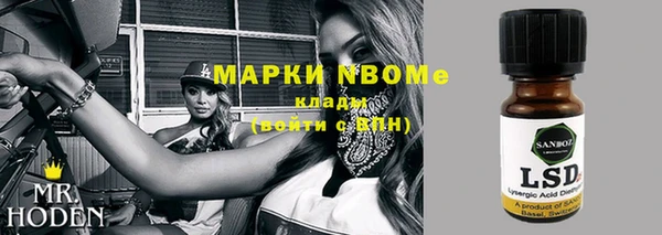 прущая мука Вяземский