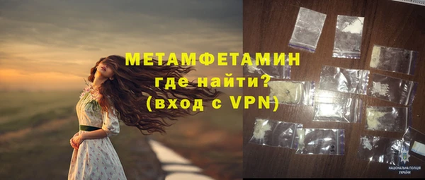 шишки Белоозёрский