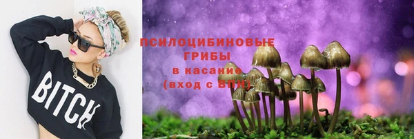 spice Балабаново