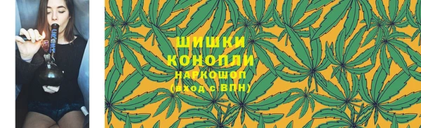 шишки Белоозёрский