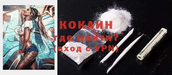 mix Богородицк