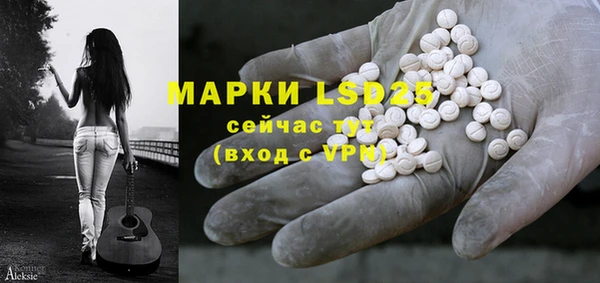 шишки Белоозёрский